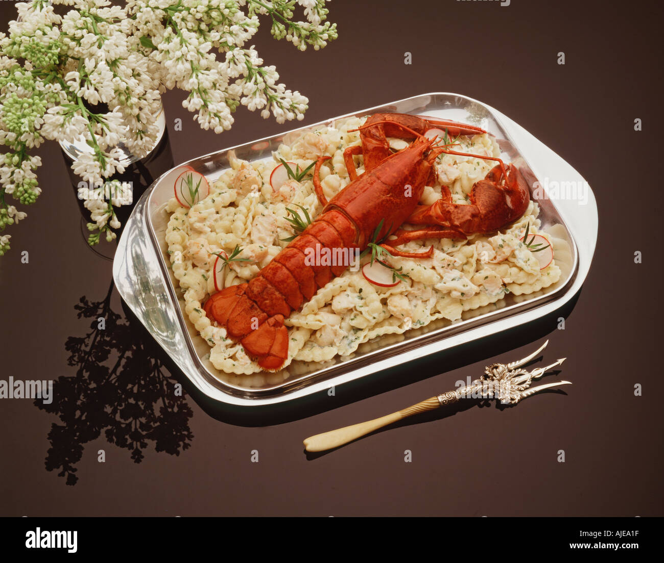 Alimentare la vita ancora studio tutto il Maine lobster sul letto di pasta Foto Stock