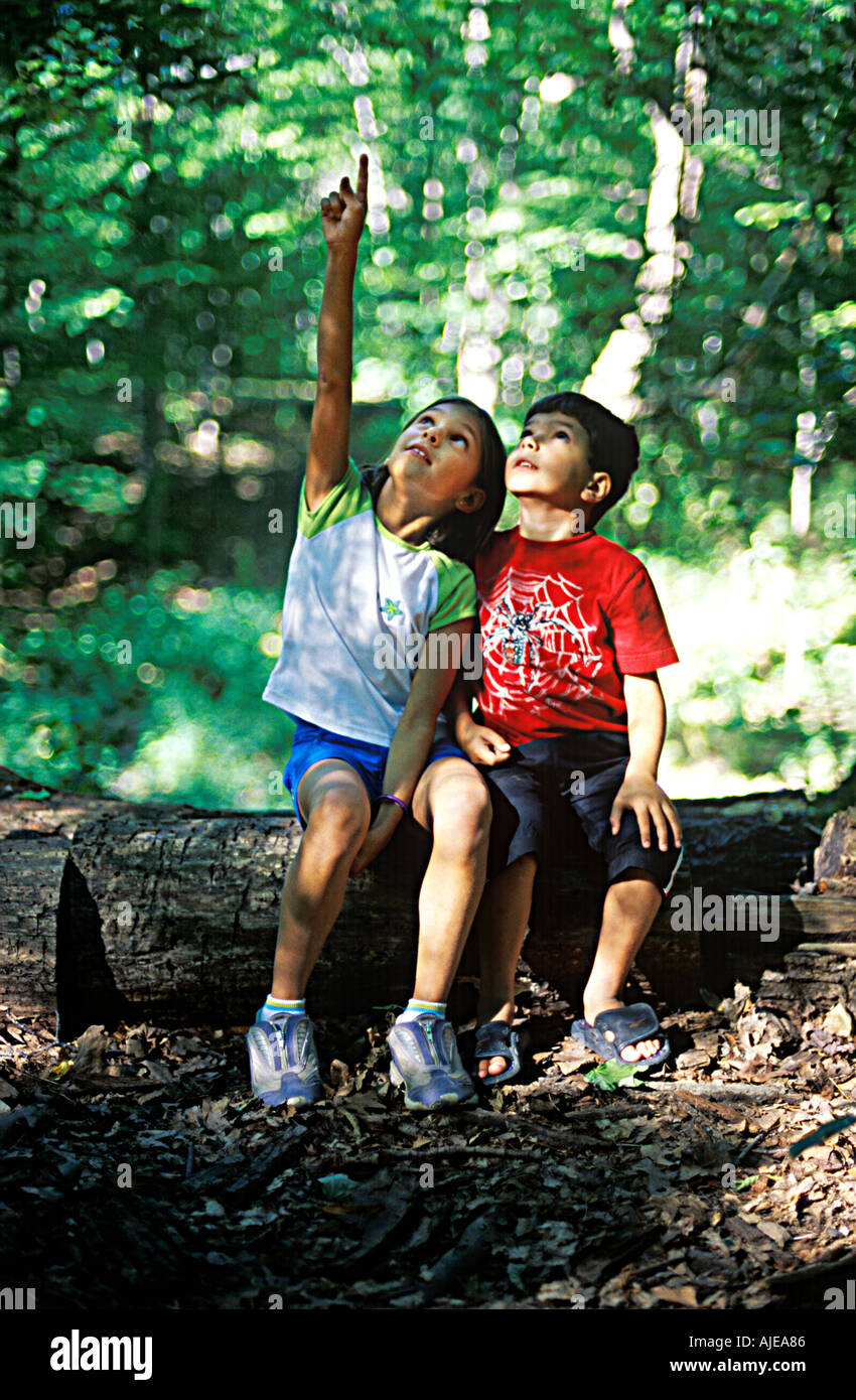 I due ragazzi nel bosco Foto Stock