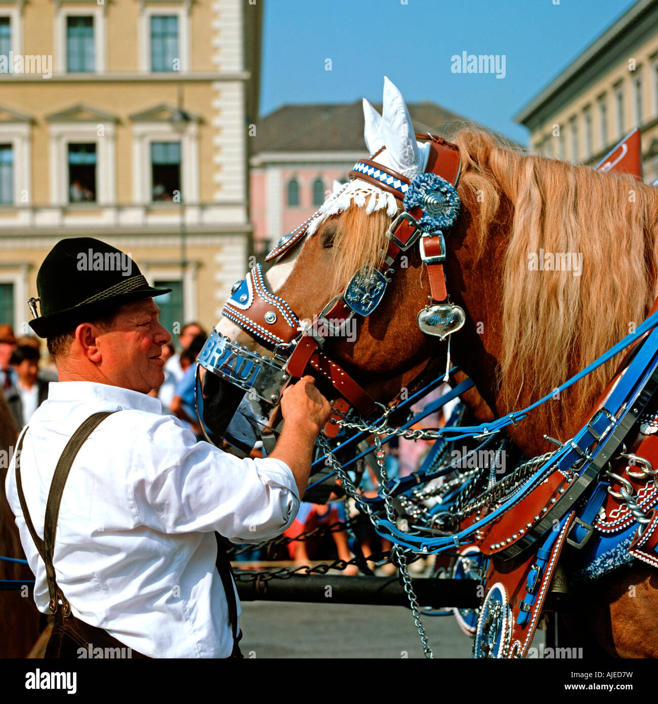 Ue DEU Bavaria Monaco di Baviera La October Fest a Monaco di Baviera Grand Entry dei birrai decorate carthorse n. MR Foto Stock