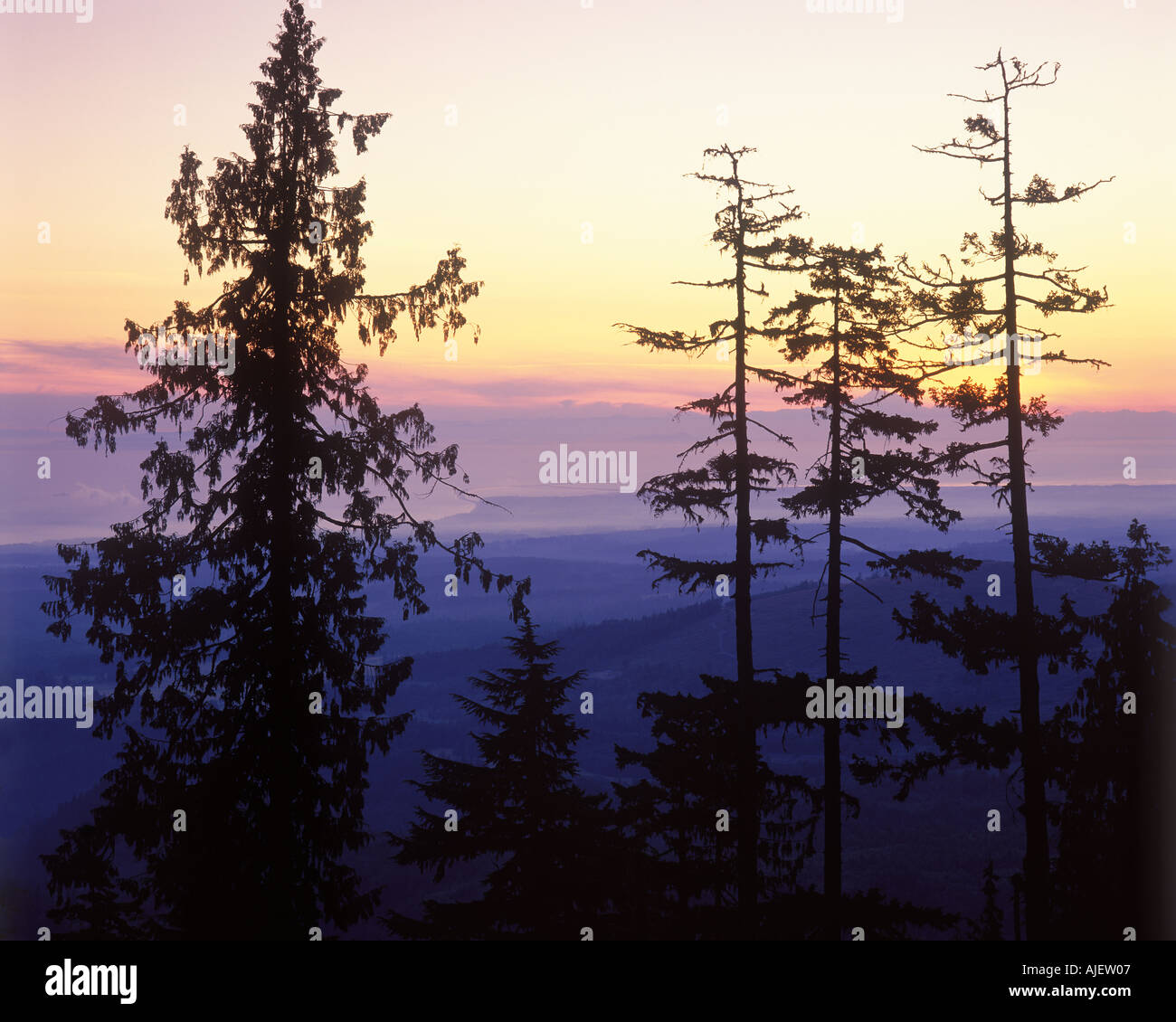 Alba da Hurricane Ridge Road Foto Stock