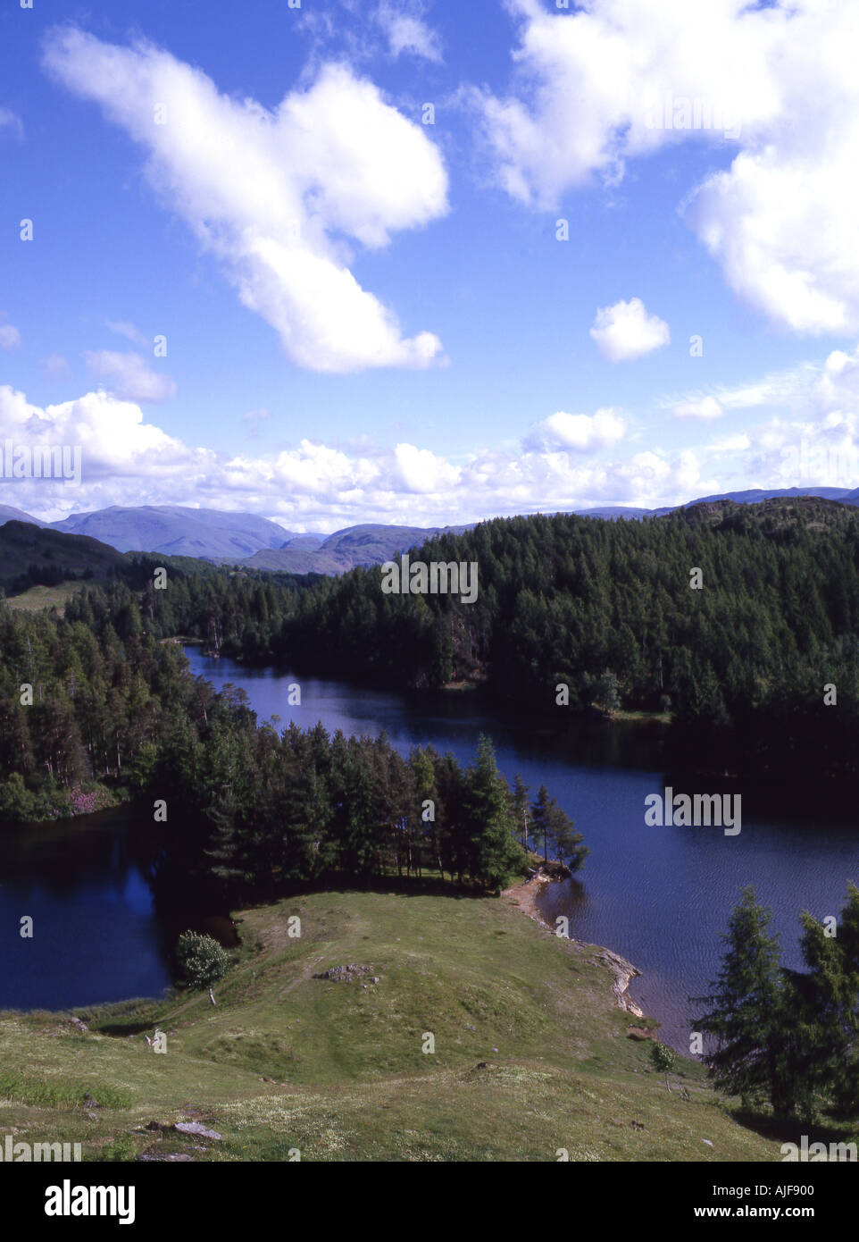 Tarn Howes Cumbria Foto Stock