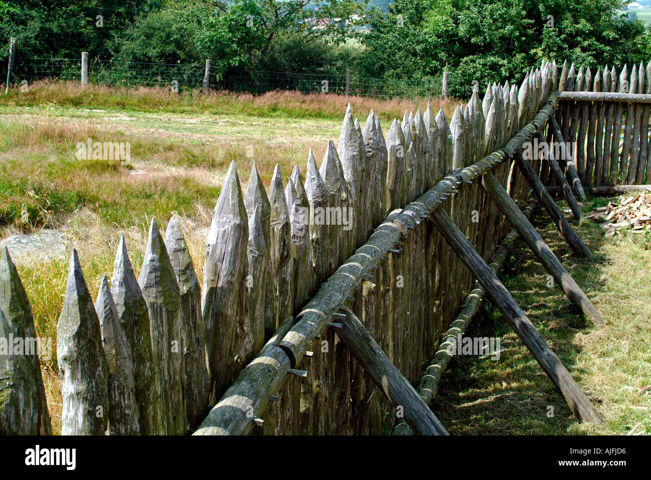 Antica difensiva palizzata in legno Ricostruzione di recinzione Bornholm Danimarca Foto Stock