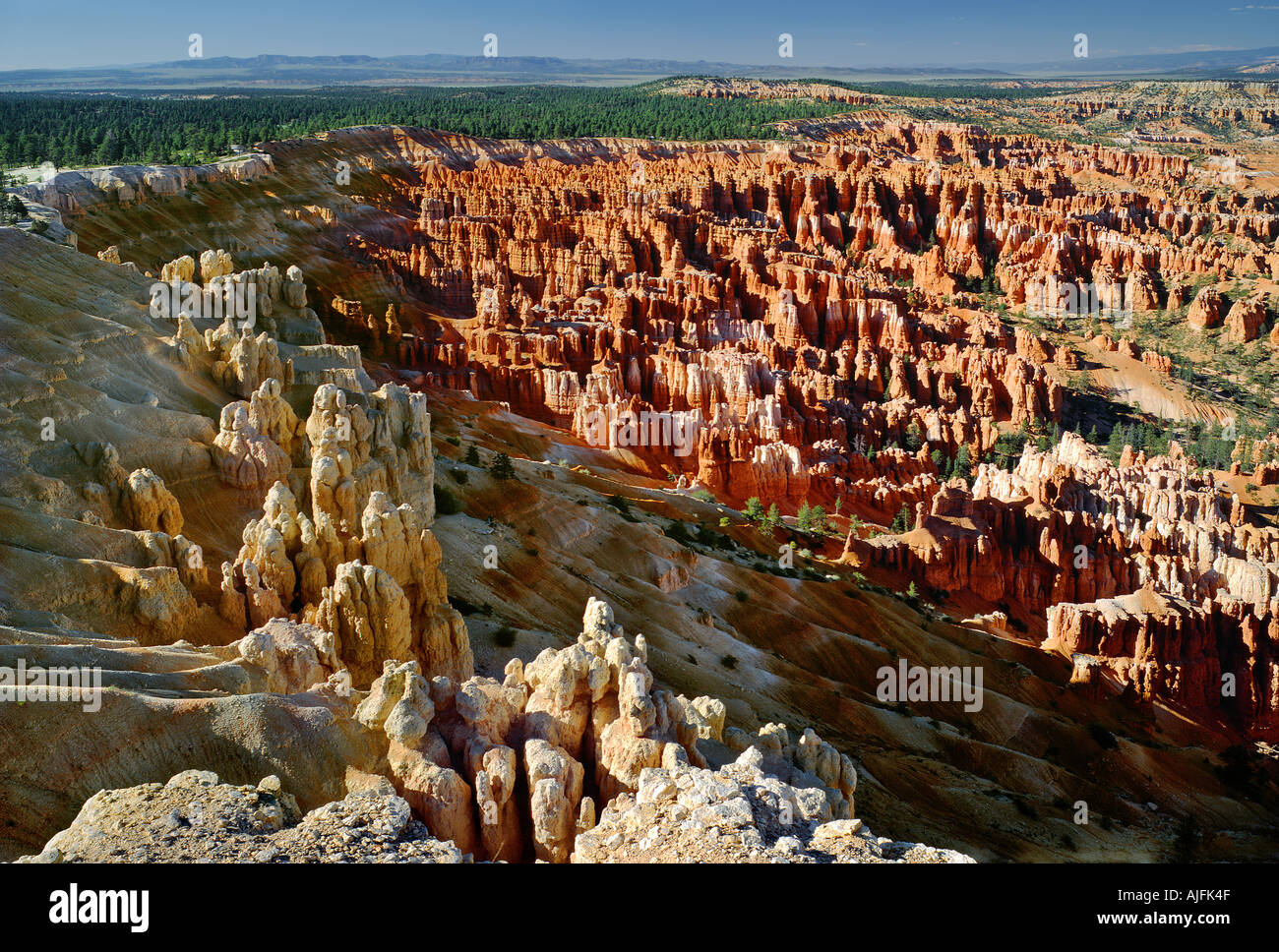 Parco Nazionale di Bryce Canyon dello Utah Foto Stock