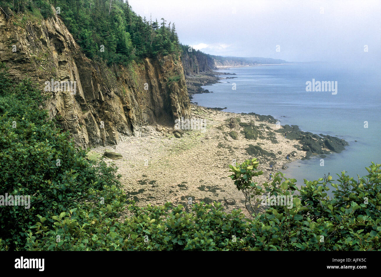 Le scogliere di ardesia falde inclinate Cape imbestialire New Brunswick Canada Foto Stock