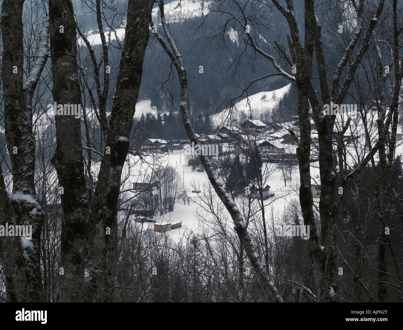 Le Alpi Francesi a lato strada a Megeve Francia guardando attraverso gli alberi . Un snowscape prese a banchina sul modo di Megeve ski resort Foto Stock