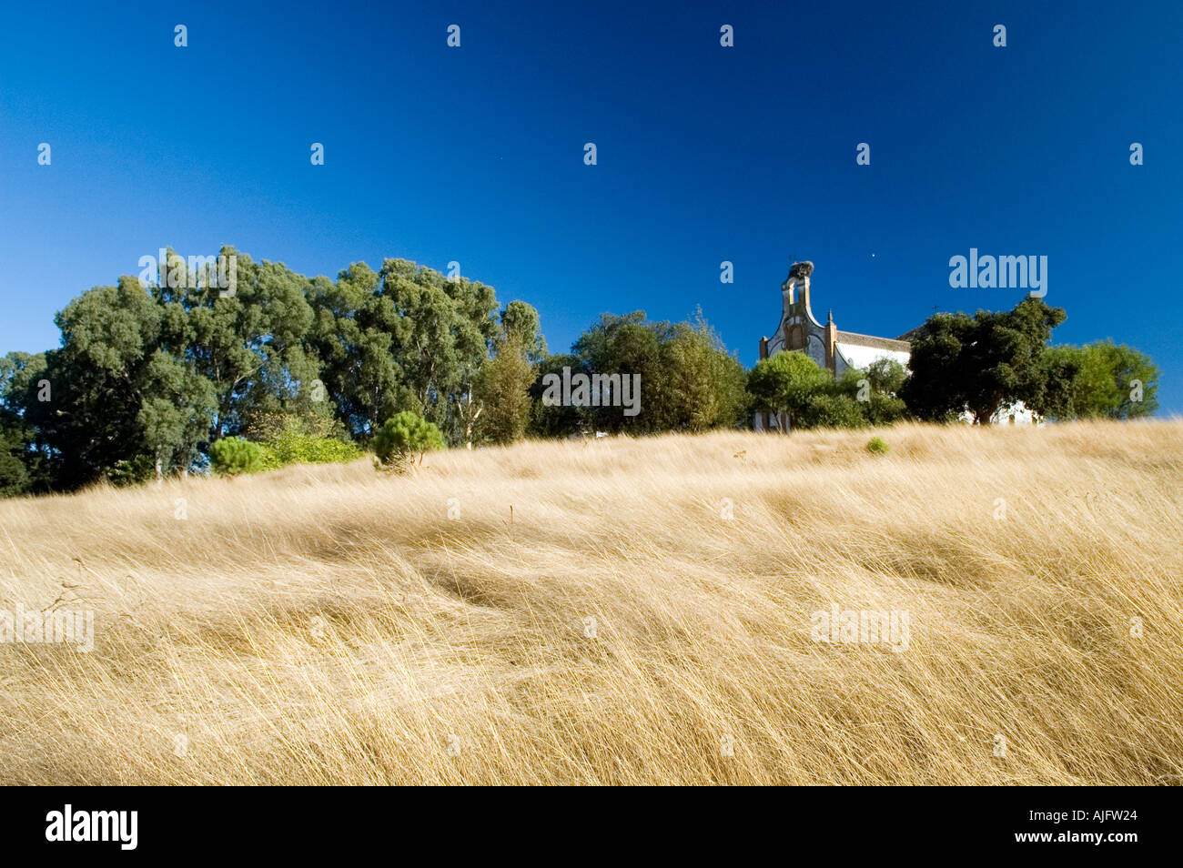 Il villaggio abbandonato di Cabezudos Almonte Huelva spagna Foto Stock