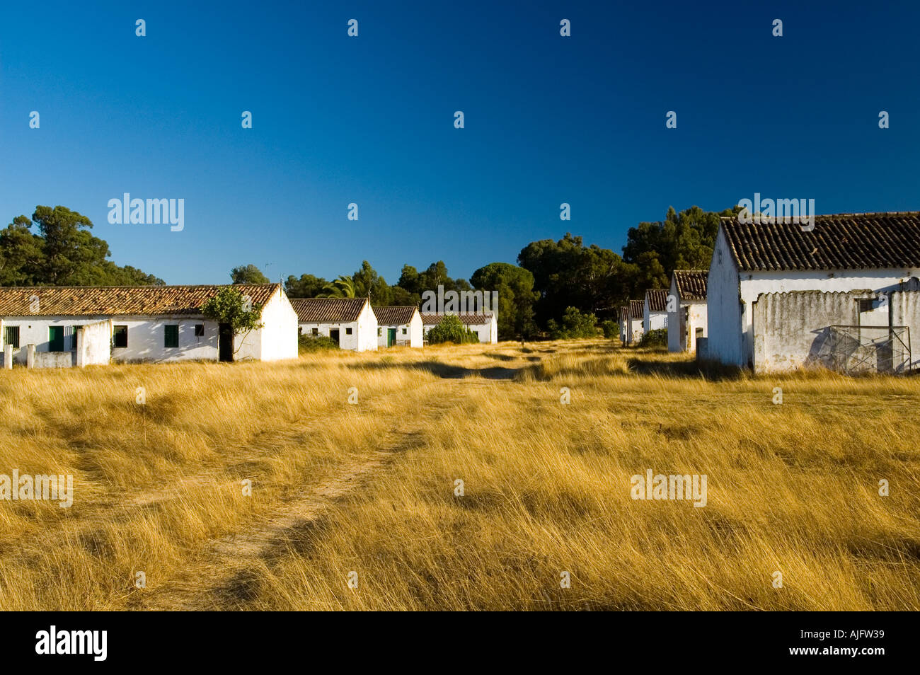 Case nel villaggio abbandonato di Cabezudos Almonte Huelva spagna Foto Stock