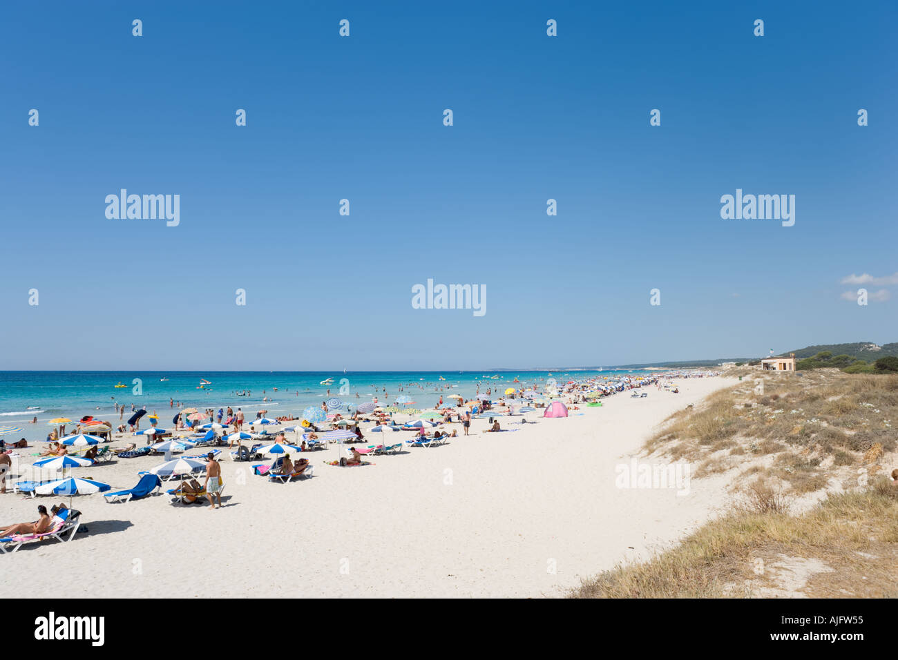 Spiaggia di Son Bou, Menorca, isole Baleari, Spagna Foto Stock