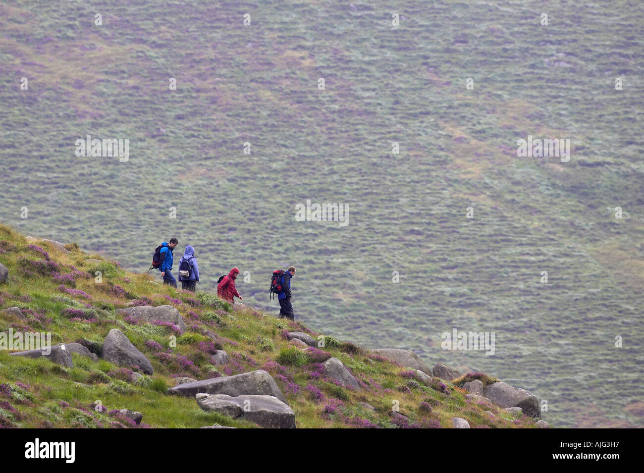 Quattro persone walkers trekking lungo il crinale in condizioni di bagnato i vestiti su un miserabile bagnato estate piovosa giornata nella Mourne Mountains Irlanda del Nord Foto Stock