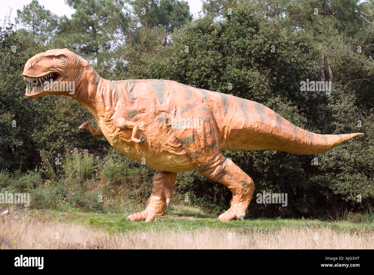 Lifesize ricostruzione del Tyrannosaurus rex un carnivoro bipede theropod dinosaur tardi Cretceous Francia Foto Stock