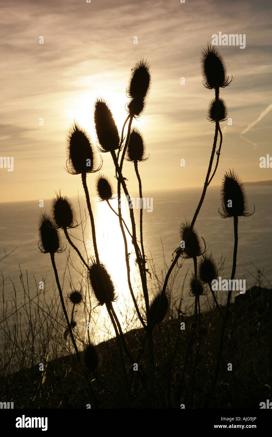 Tramonto vicino le rovine della vecchia cappella sul rame testa una volta un belvedere sul mare sul Cornish Coast sulla serata estati Foto Stock