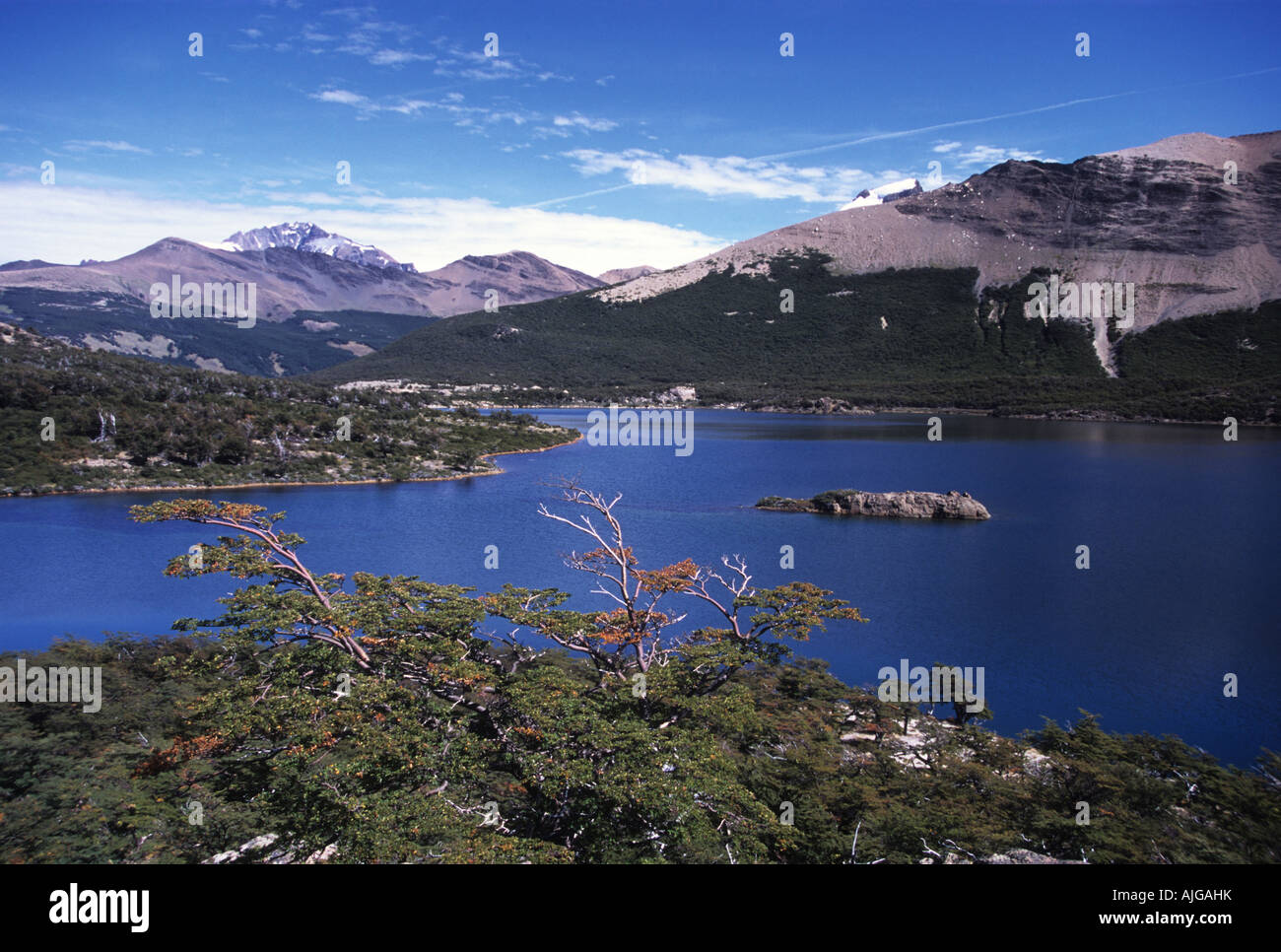Laguna Capri e southern faggi vicino a Mt Fitzroy, parco nazionale Los Glaciares, Patagonia, Argentina Foto Stock