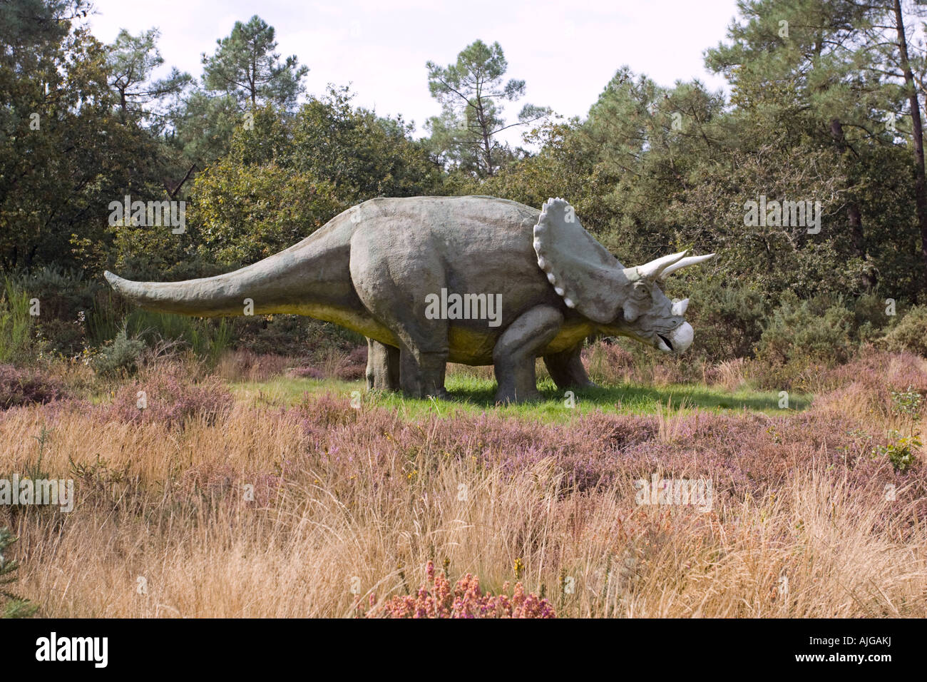 La ricostruzione di Triceratops un erbivoro estinto ceratopsid dinosaur del tardo Cretaceo Dinosaur Park Francia Foto Stock