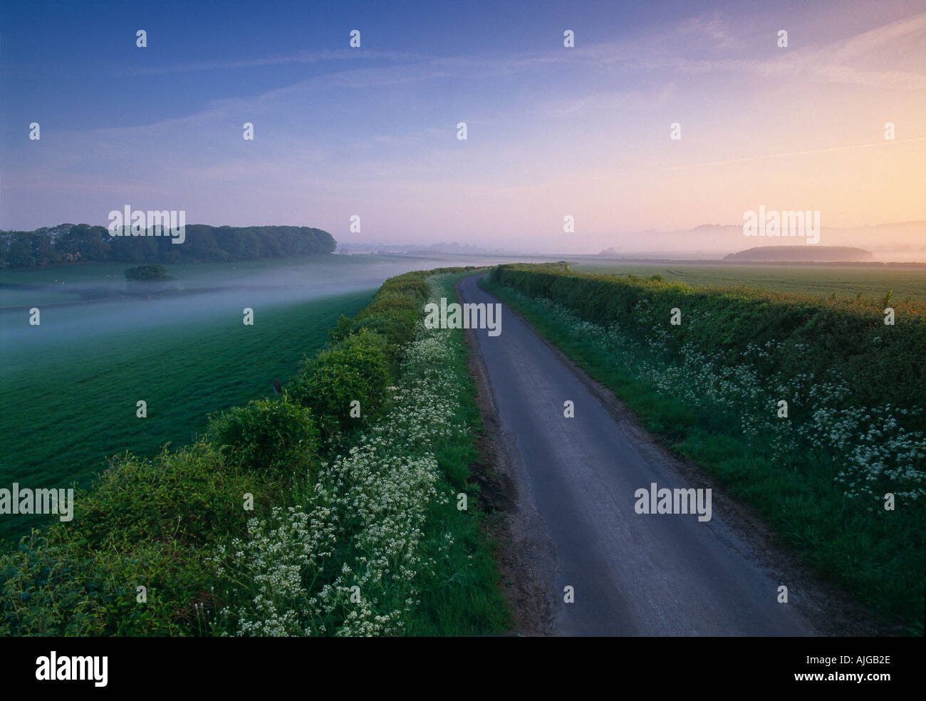 La strada per il Charlton Horethorne Somerset England Regno Unito Foto Stock