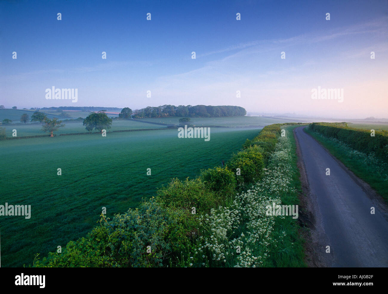 La strada per il Charlton Horethorne Somerset England Regno Unito Foto Stock