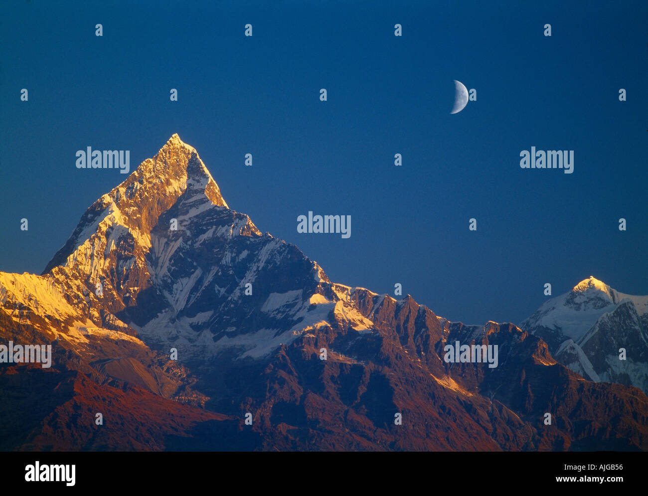 Coda di pesce Machhapuchhare montagna sacra con la luna Annapurna Himalaya Nepal Foto Stock