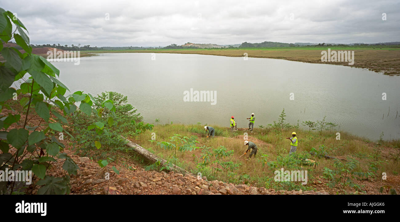 Rive del vecchio stagno di recupero che mostra il ripristino del manto vegetale in superficie a cielo aperto miniera d'oro del Ghana, Africa occidentale Foto Stock