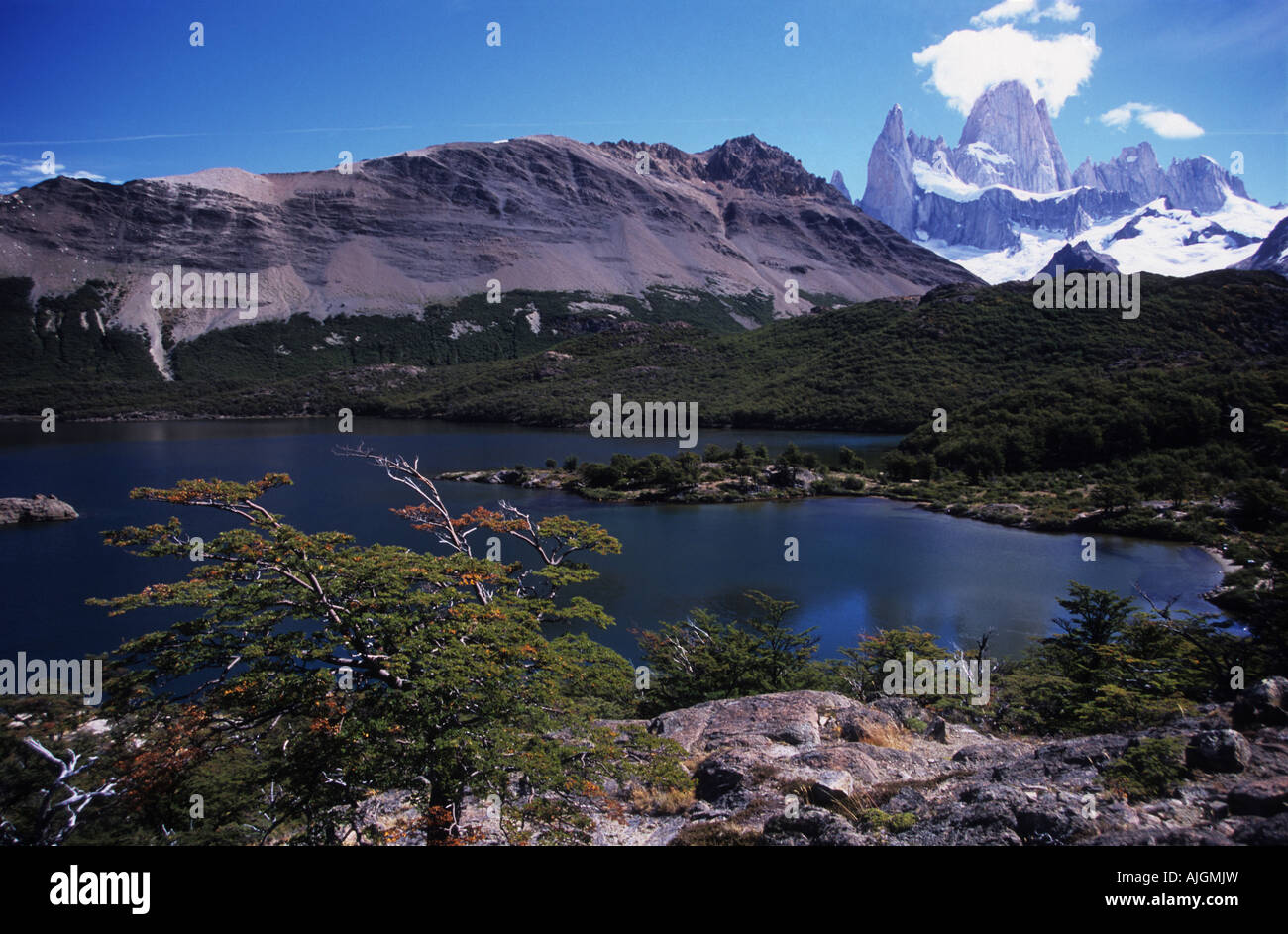 Mt Fitzroy e Laguna Capri, parco nazionale Los Glaciares, Patagonia, Argentina Foto Stock