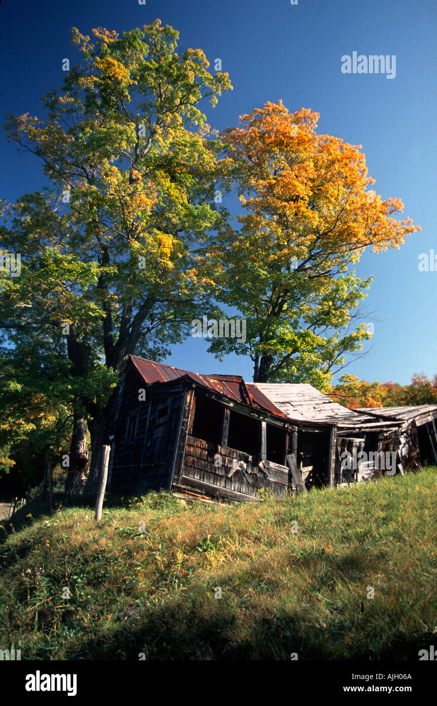 Un rurale Vermont autunno in scena la vecchia baracca Foto Stock