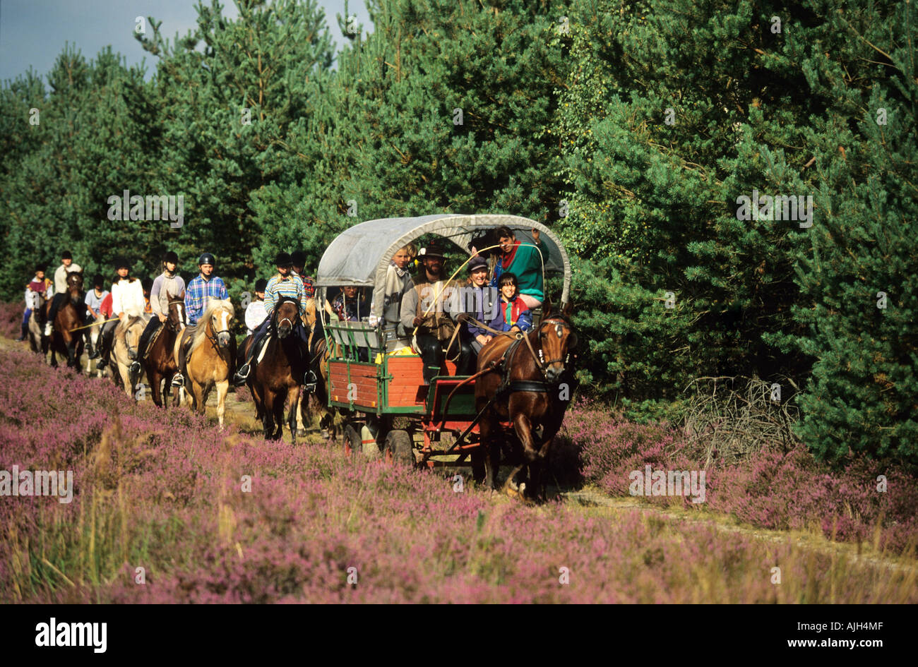 Un cavallo disegnato caravan e un gruppo di piloti in brughiera Foto Stock