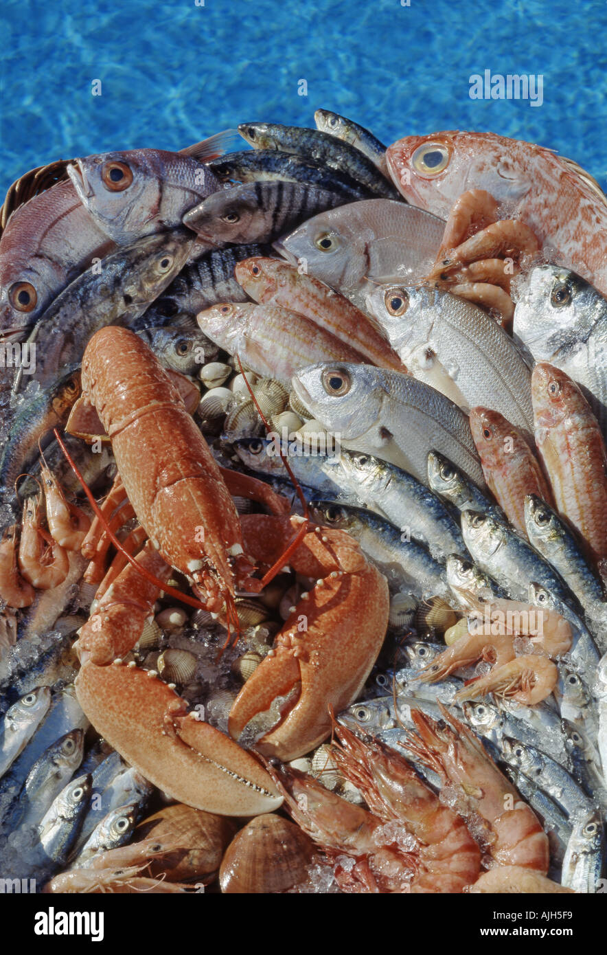 Varietà di pesce fresco e molluschi aragosta dalla piscina Foto Stock