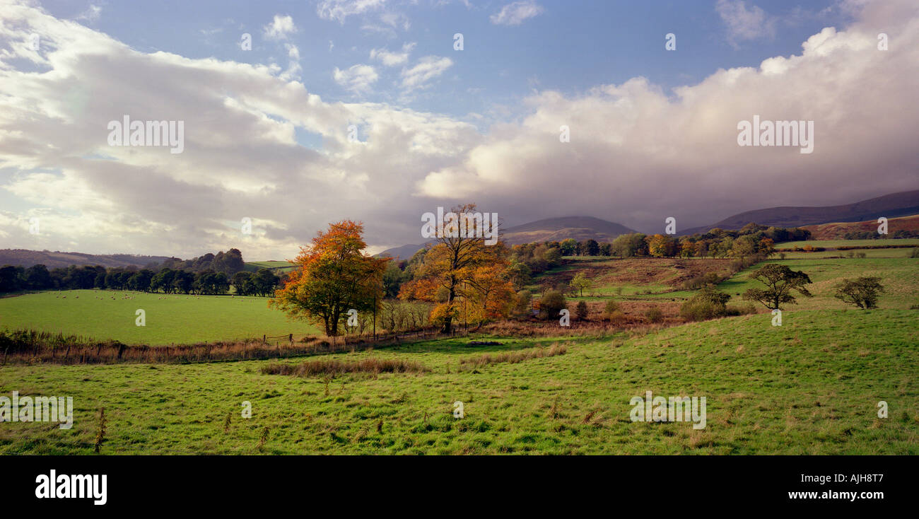 Vista panoramica verso le Ochil Hills vicino a Dollar Scozia Scotland Foto Stock