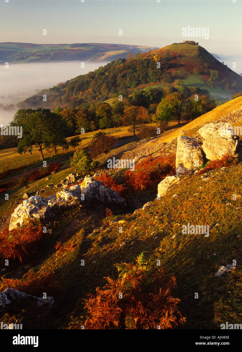 Vista di Castell Dinas Bran & Vale of Llangollen da Creigiau Eglwyseg, nr Llangollen, Clwyd, Galles Foto Stock