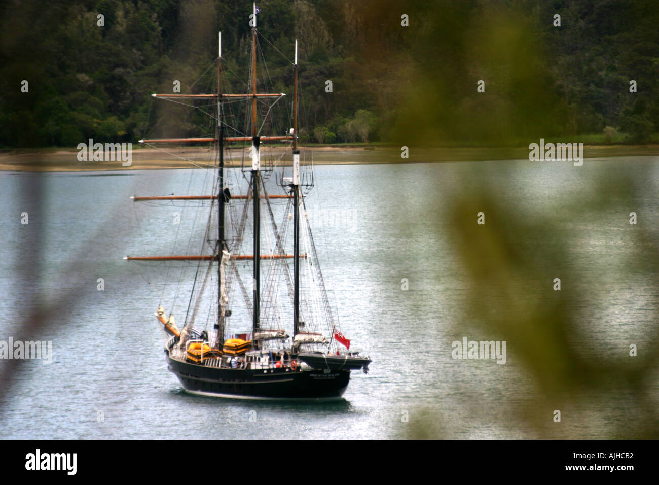 Nave a vela ancorata al Queen Charlotte Sound Isola del Sud della Nuova Zelanda Foto Stock