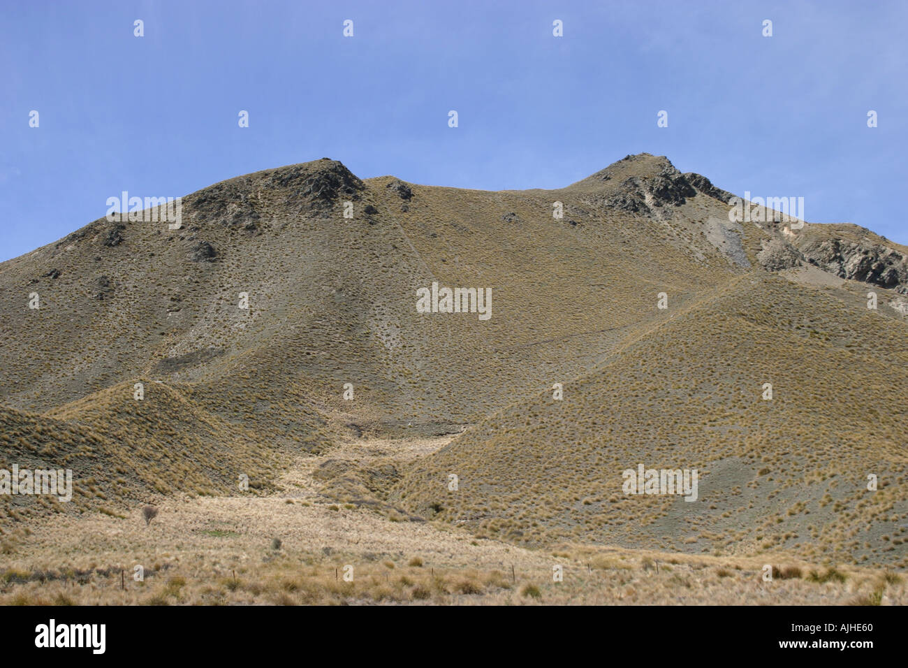 Lindis Pass golden tussock grass paese Isola del Sud della Nuova Zelanda Foto Stock