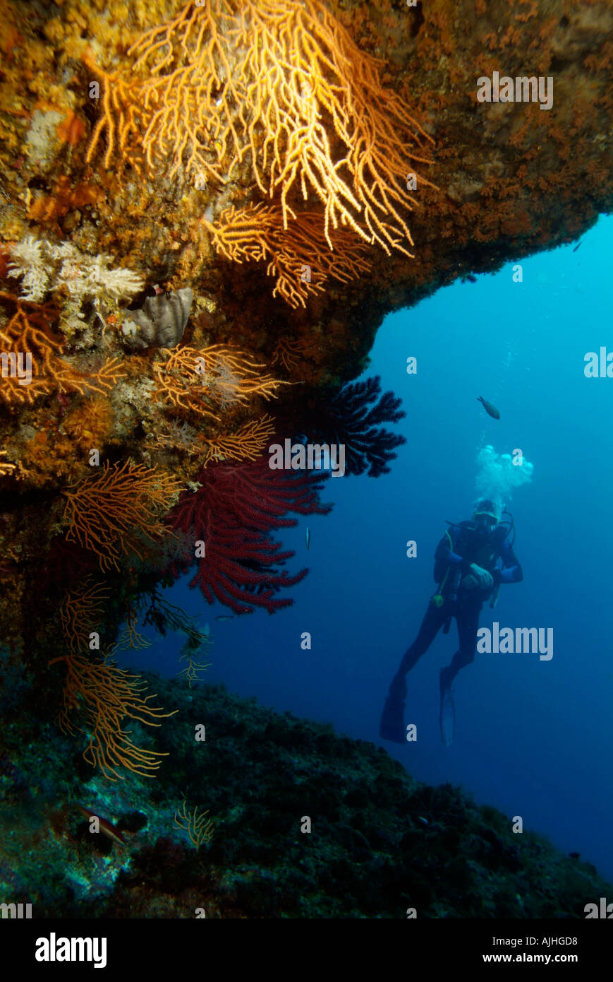 Scuba Diving - Underwater shot del Subacqueo nei pressi di una grotta - off Riou isola, mare Mediterraneo, Francia Foto Stock