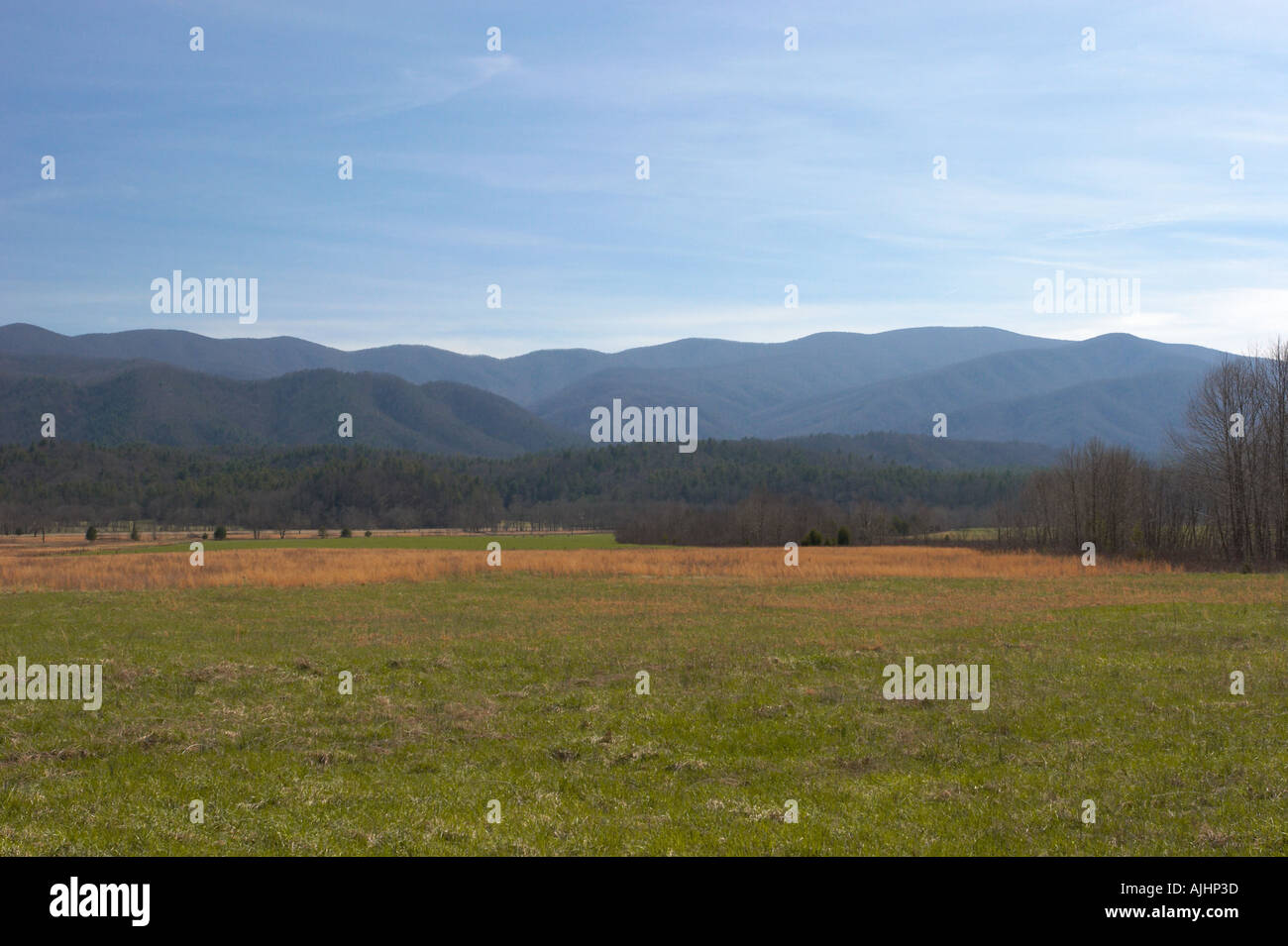 Una coperta di erba valley in Cades Cove nelle Smoky Mountains del Tennessee Foto Stock