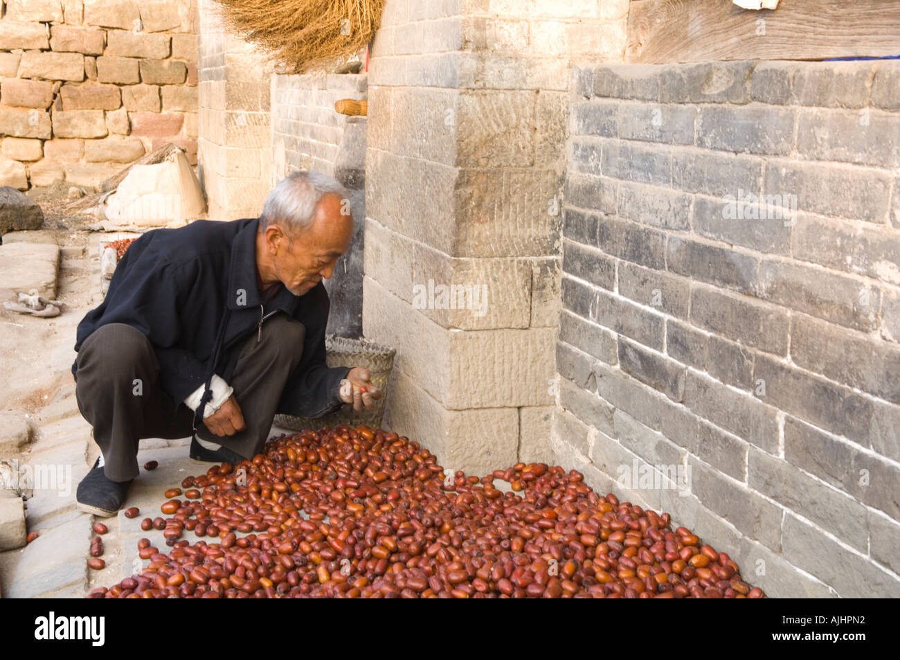 Agricoltore ordinamento figure asciugatura sul portico di casa colonica Qikou nella provincia di Shanxi Cina Foto Stock