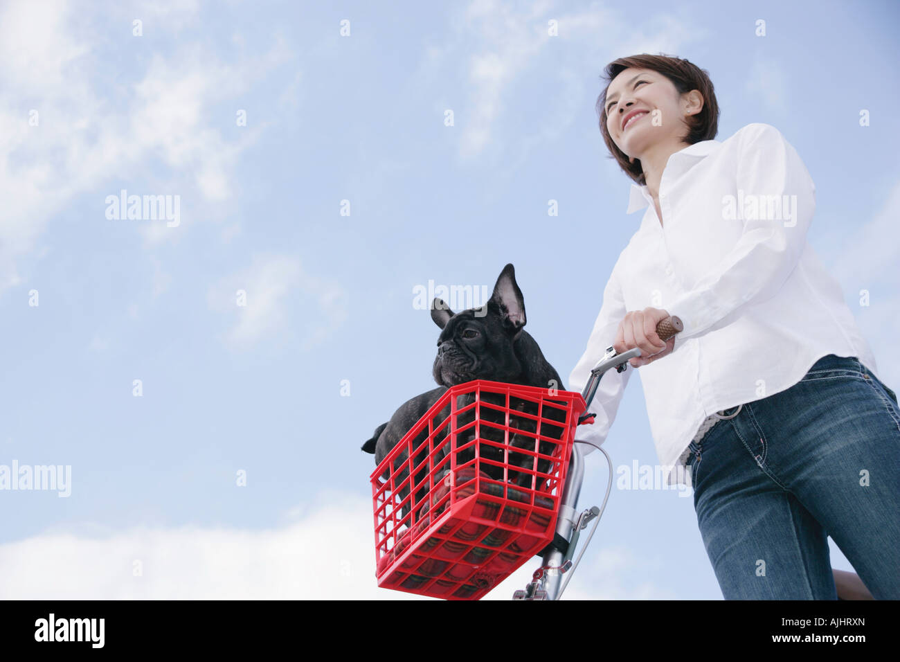 Giovane donna e bulldog francese Foto Stock