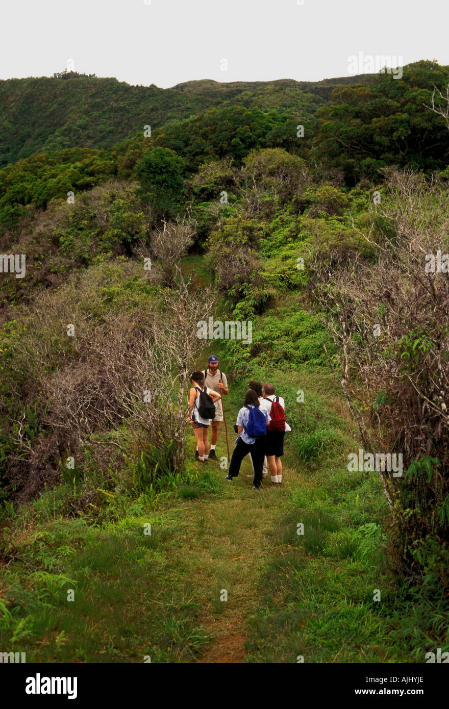 Persone, turisti, Escursionista, escursionisti, Hiking trail, escursionismo, tra Valle Makamakaole e Waihee Valley, montagne di West Maui, West Maui Maui, Hawaii Foto Stock
