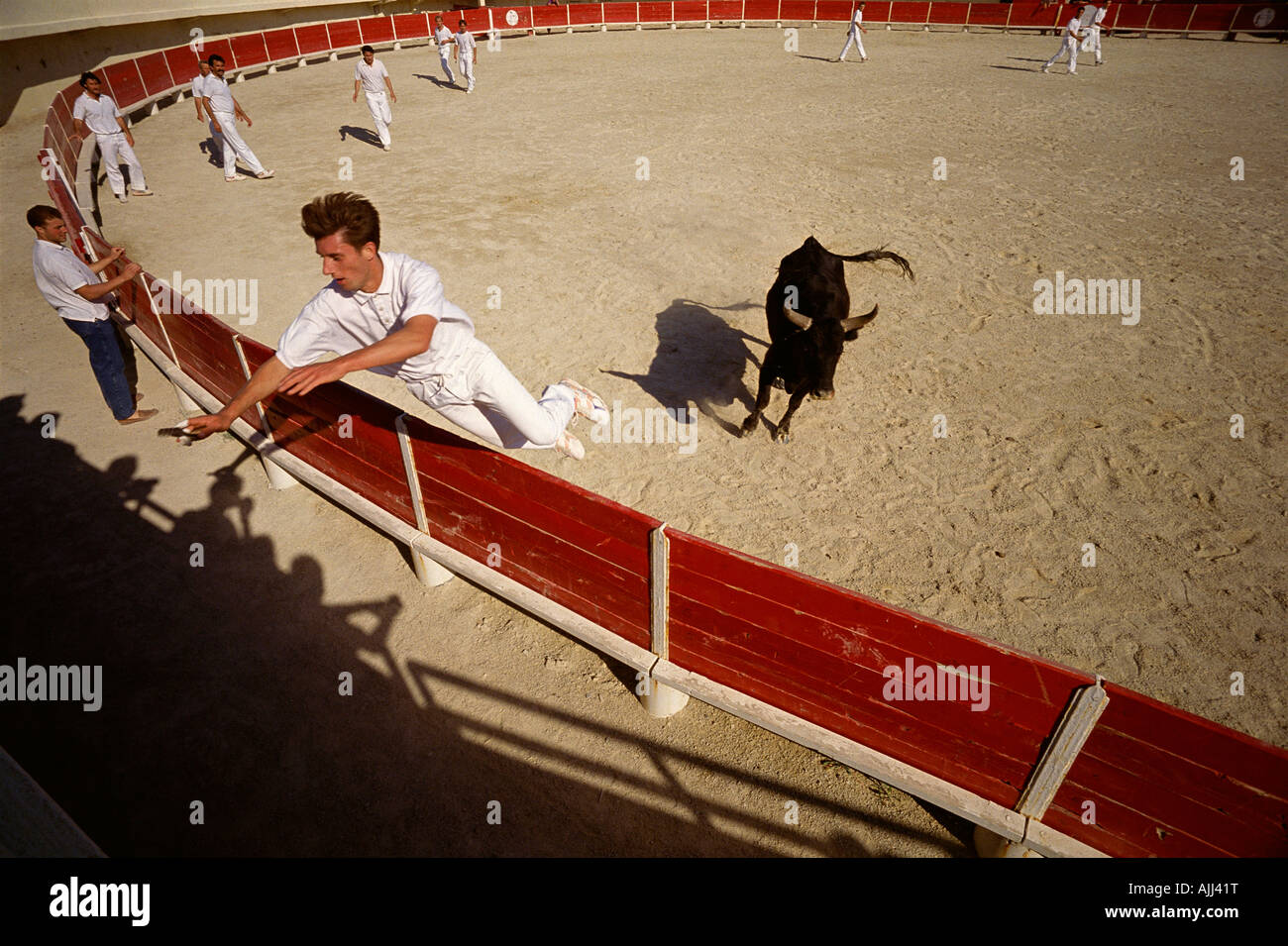 Saintes Maries de la Mer Camargue Francia un raseteur fa un salto per essa durante un corso camarguaise Foto Stock