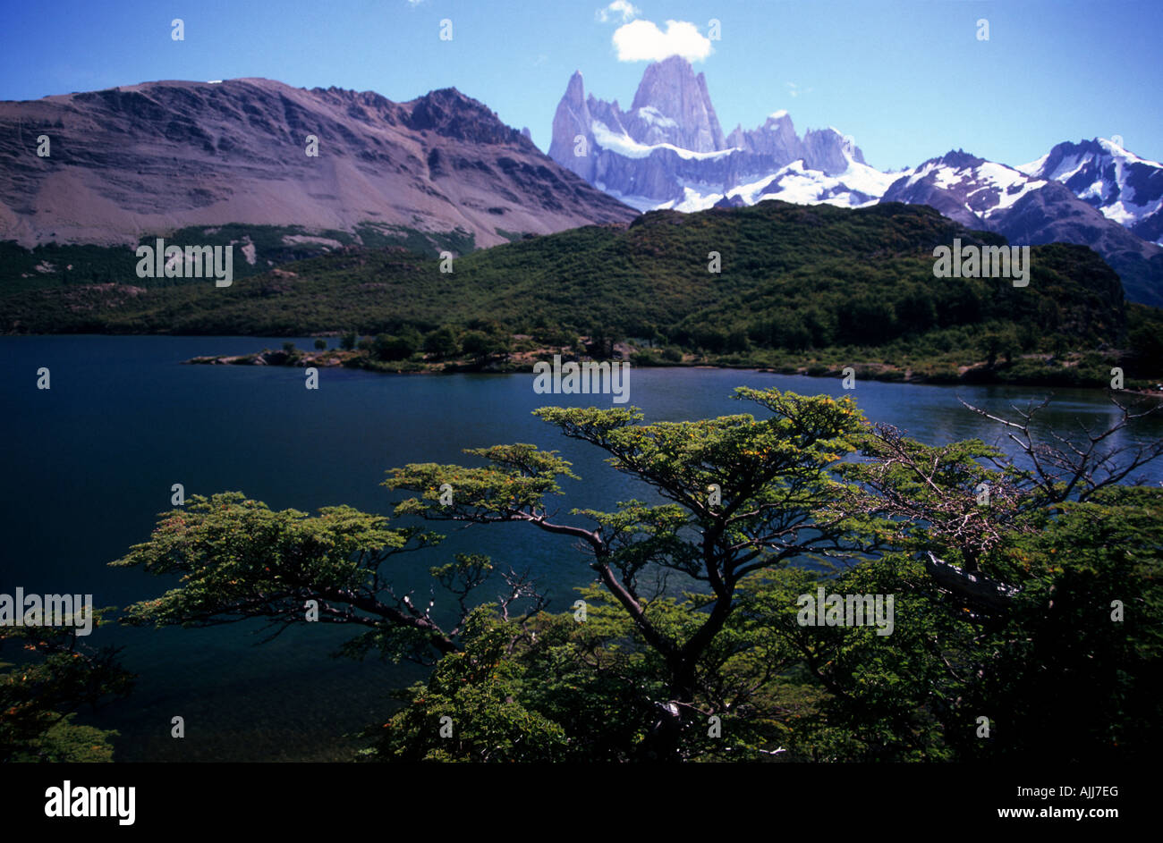 Mt Fitzroy, Laguna Capri e faggi secolari, parco nazionale Los Glaciares, Patagonia, Argentina Foto Stock