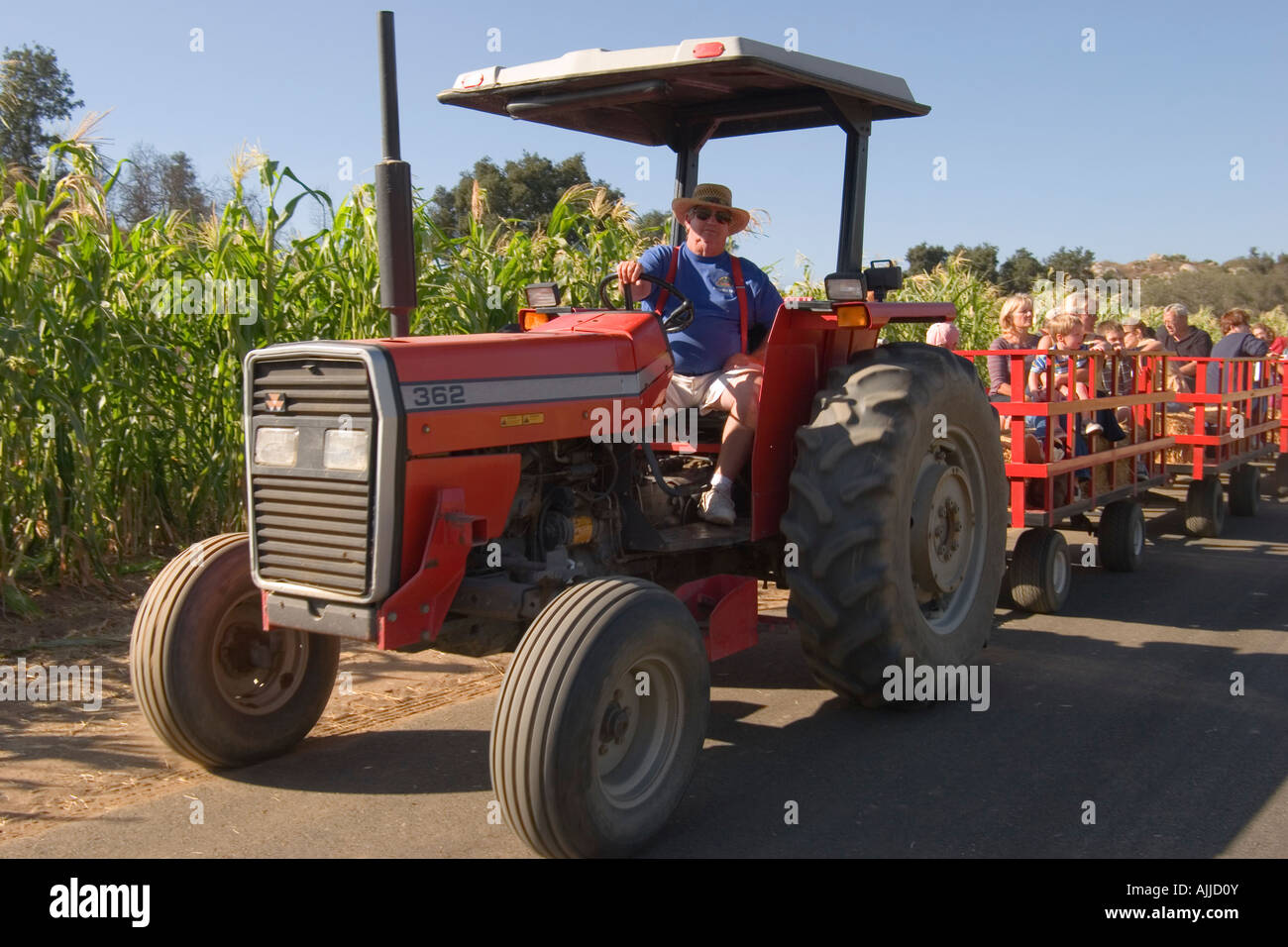 Un cordiale agricoltore aziona il suo trattore tirando due carri di persone contente e godendo di una giornata in campagna. Foto Stock