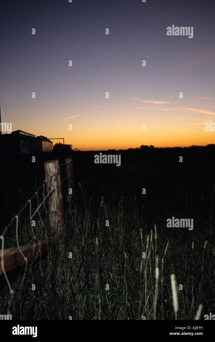 Un campo di agricoltori al tramonto Foto Stock