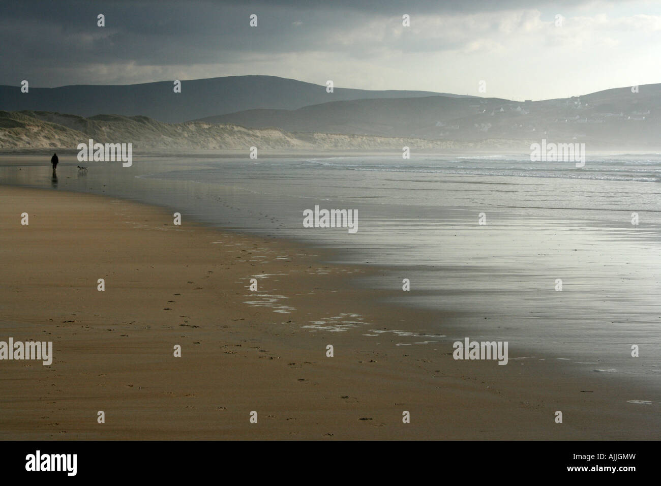 Cane a piedi a Magheraroarty allo spiedo, Donegal, Irlanda Foto Stock