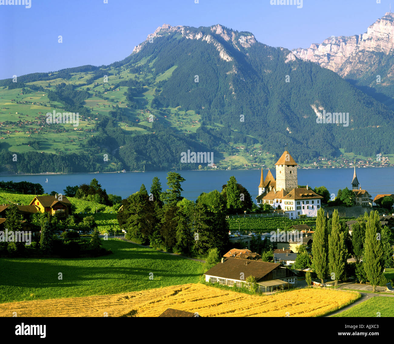 CH - Oberland bernese: Castello di Spiez sul Lago di Thun Foto Stock