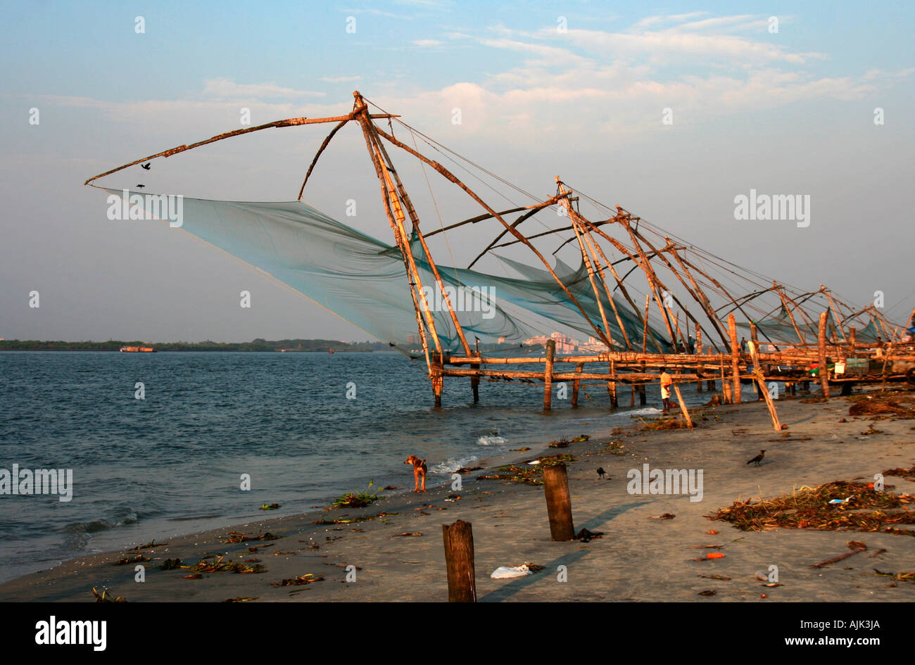 Cinese di reti da pesca in una fila al crepuscolo in Fort Cochin, Kerala Foto Stock