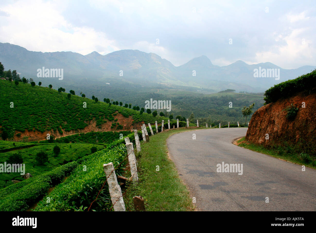 Una strada tortuosa su di una bellissima collina stazione in Munnar Kerala, India Foto Stock