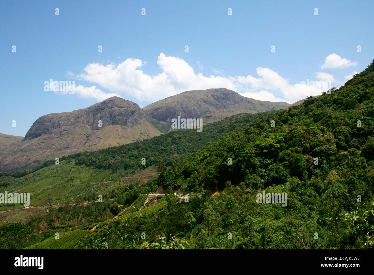 Una vista di una bella collina stazione in Kerala, protetto dal grand i Ghati Occidentali Foto Stock