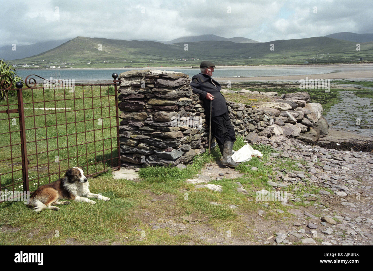 Irish Gent a Smerwick Harbour Irlanda Dingle Foto Stock