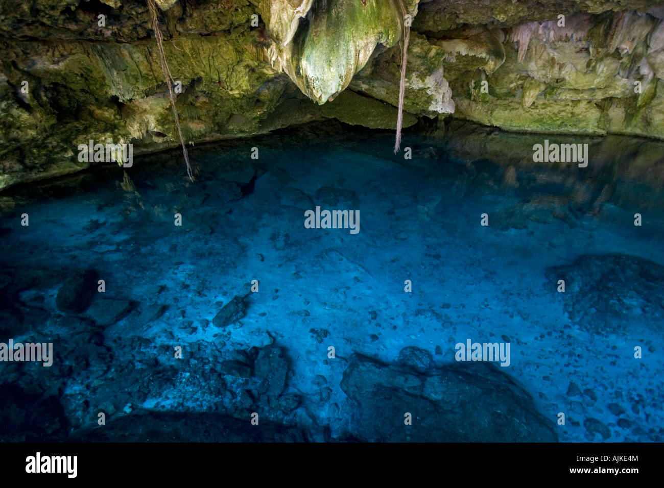 Il Cenote " due occhi", nella penisola dello Yucatan (Messico). Cénote Dos Ojos (Quintana Roo, péninsule du Yucatán, Mexique). Foto Stock