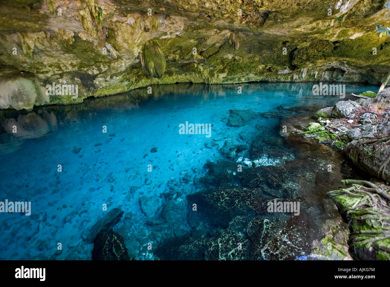 Il Cenote " due occhi", nella penisola dello Yucatan (Messico). Cénote Dos Ojos (Quintana Roo, péninsule du Yucatán, Mexique). Foto Stock