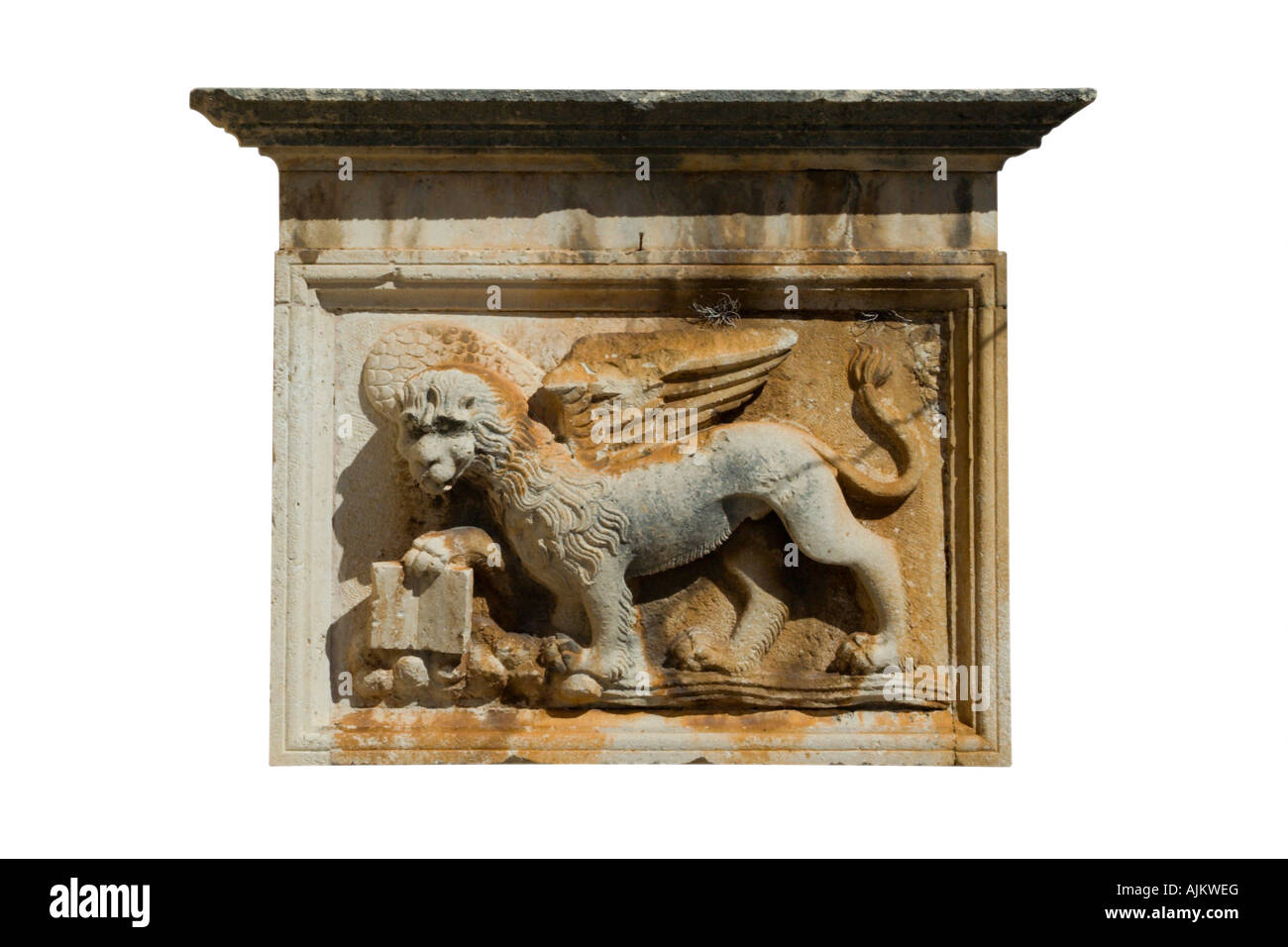 Veneziano Leone alato di rilievo su di una parete della vecchia città di Korcula Croazia Costruzione Foto Stock