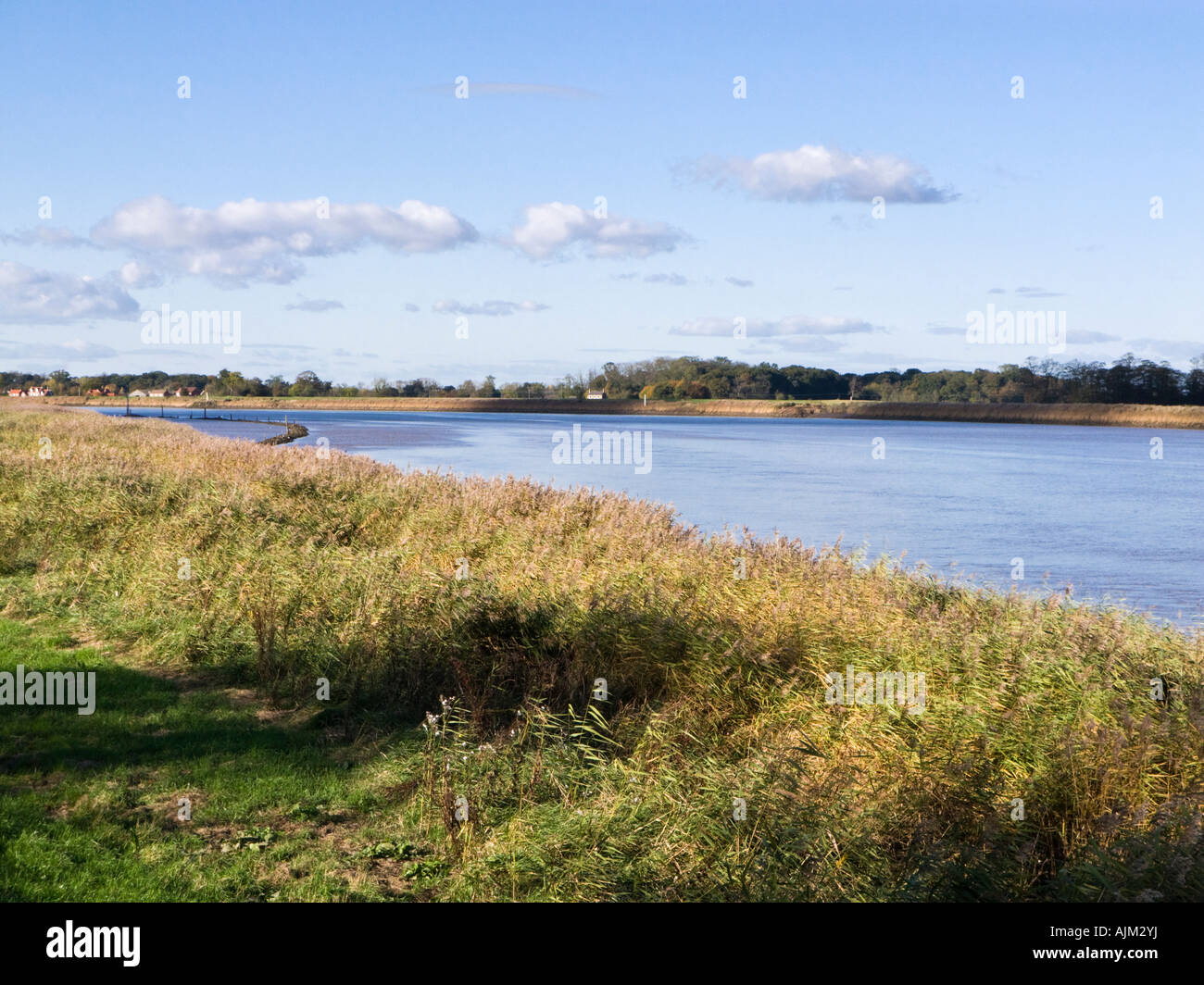 Banca del fiume del fiume Ouse presso Reedness in East Riding of Yorkshire, Inghilterra, Regno Unito Foto Stock