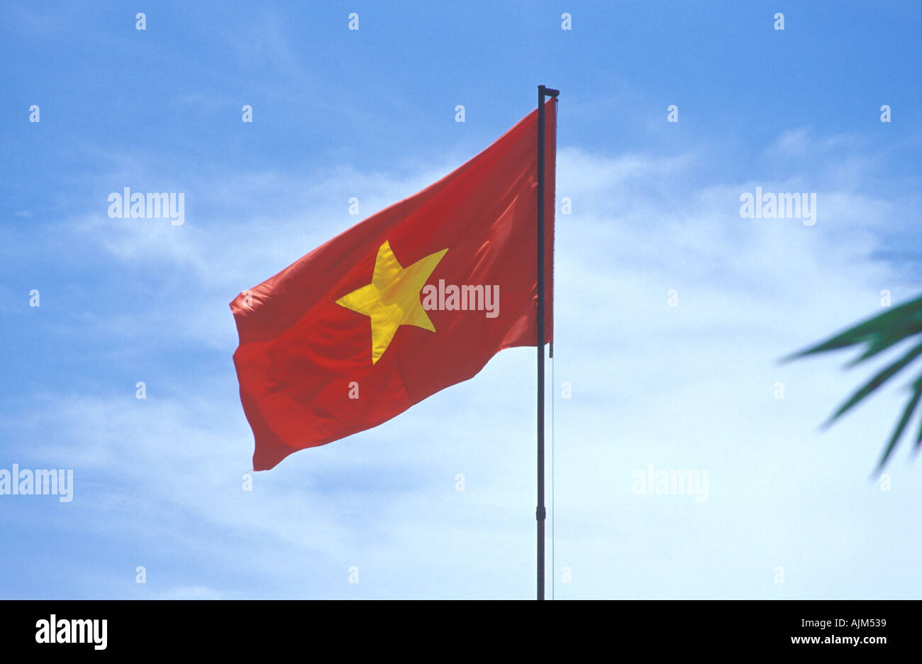 Bandiera vietnamita Vietnam Foto Stock