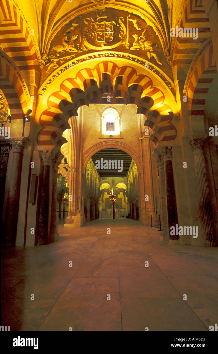 Cattedrale Mezquita di Cordova Spagna Foto Stock
